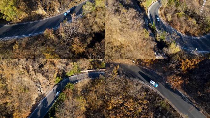 一辆蓝色宝马汽车行驶在盘山路