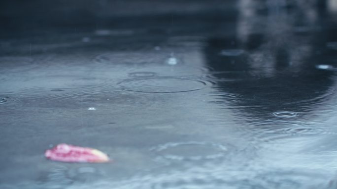 秋天梅雨季节雨滴升格特写