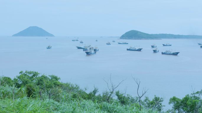 轮船 海面海港 海运