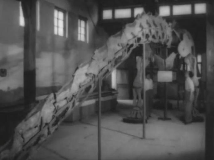 1957年 四川省合川县发现的恐龙化石