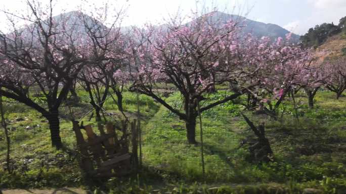 福建福安穆阳镇航拍