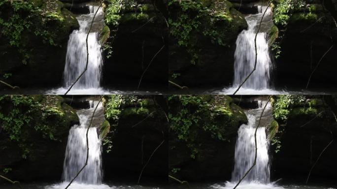 山间泉水流淌环保绿色森林溪流户外徒步溯溪