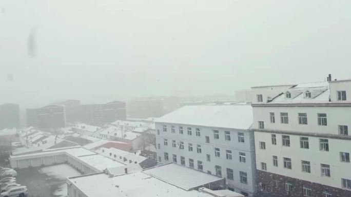实拍唯美雪天冬天下雪一片雪白视频素材雪景