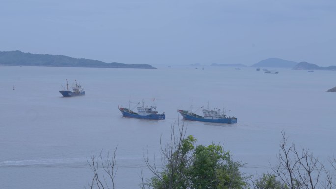 轮船 海面海港 海运