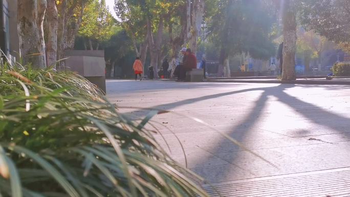 清晨公园散步的人空镜头