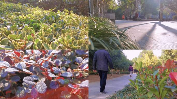 清晨公园散步的人空镜头