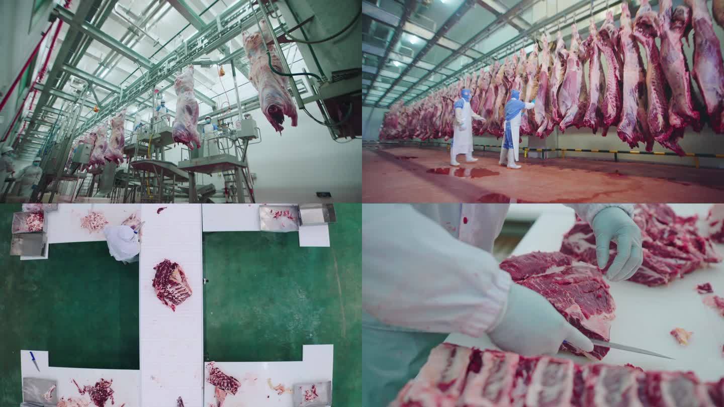 在屠宰场，尸体，生肉牛肉，挂在冰箱里。近半牛块鲜挂和排列在一个大冰箱在冰箱肉类行业。清真切割。照片摄影图片_ID:407594944-Veer图库