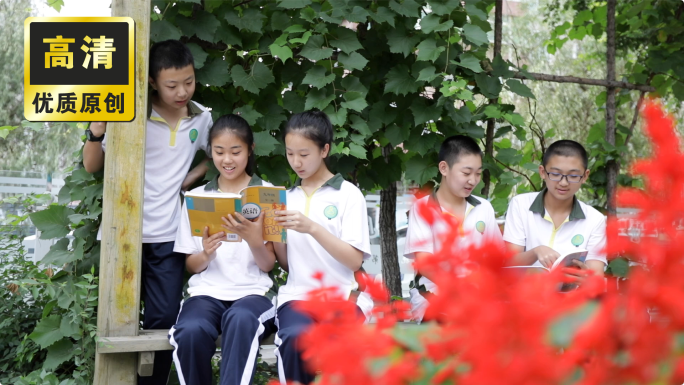 学生读书日自习图书馆户外看书学生学习