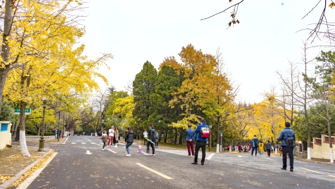 青岛八大关秋天