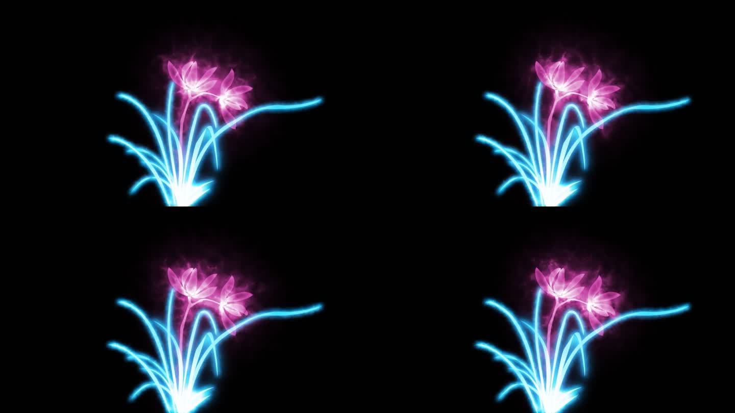 一朵兰花视频背景素材