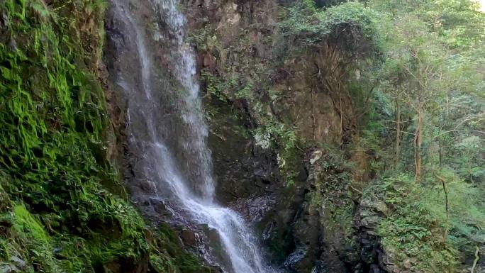 黄岩划岩山春色视频素材