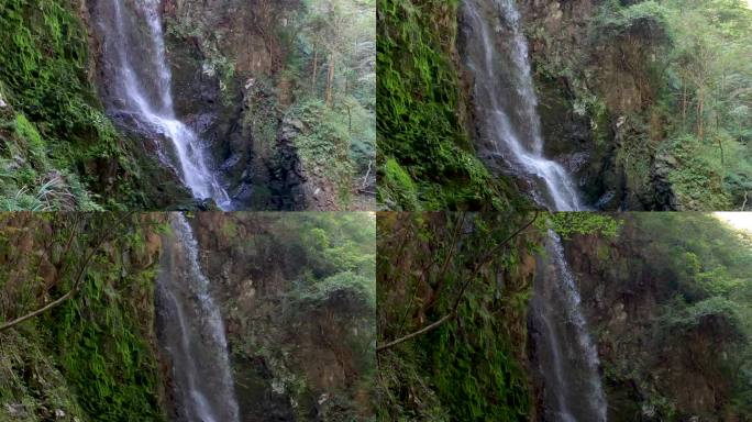 黄岩划岩山春色视频素材