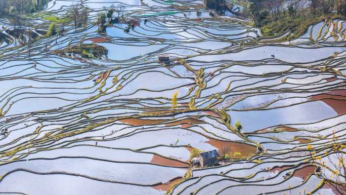 云南元阳坝达梯田延时