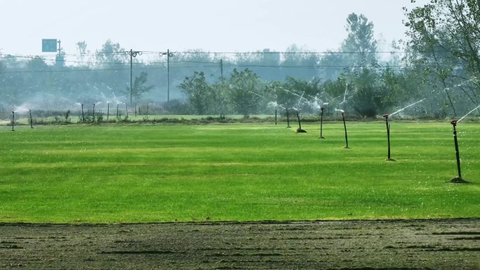 4K草坪自动灌溉系统 草坪维护