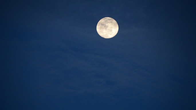 满月明月高空树梢圆月夜白月光