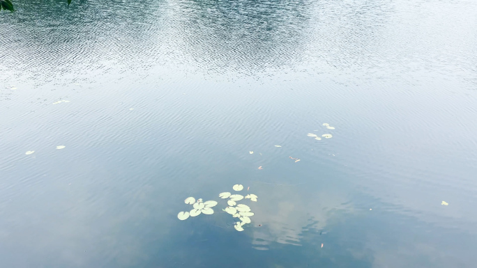 湖边自然风景