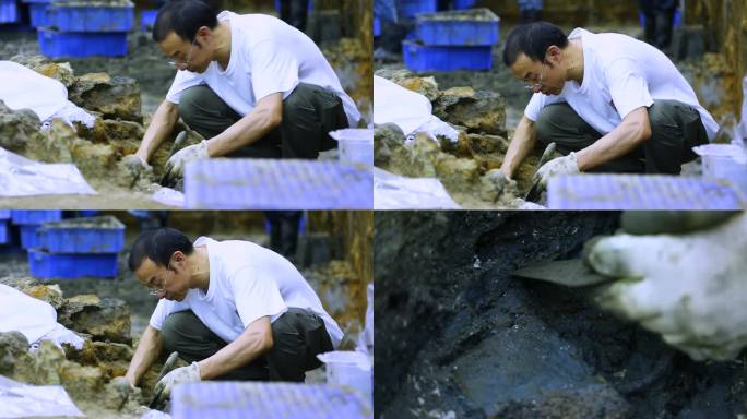 考古现场 挖掘考古 专业测量