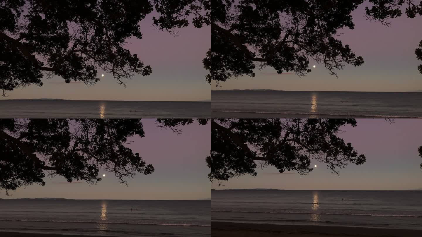 新西兰奥克兰奥雷瓦海滩的月光
