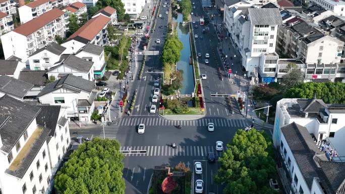 慢动作 街道 车流 干将路 树木 秋天