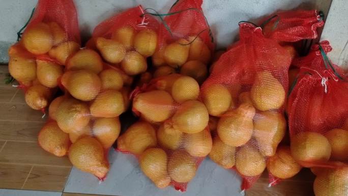 农村农民仓库堆放的沙田柚