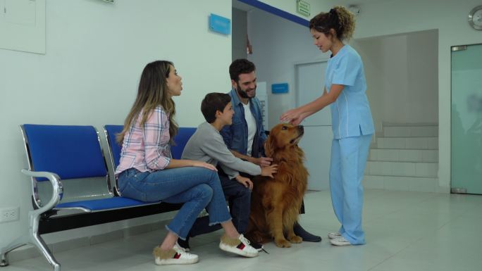 一位兽医的幸福家庭把狗留给检查，而一位好心的助手用皮带牵着它