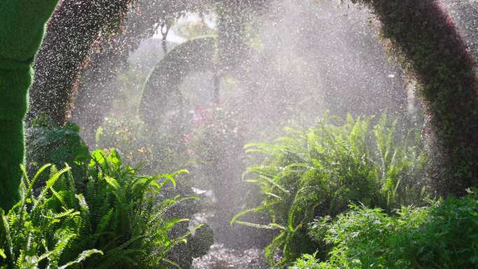 绿化工人给植物浇水4K