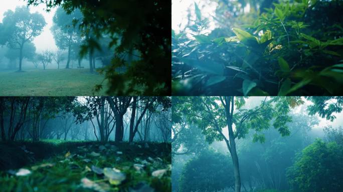 迷雾公园树林