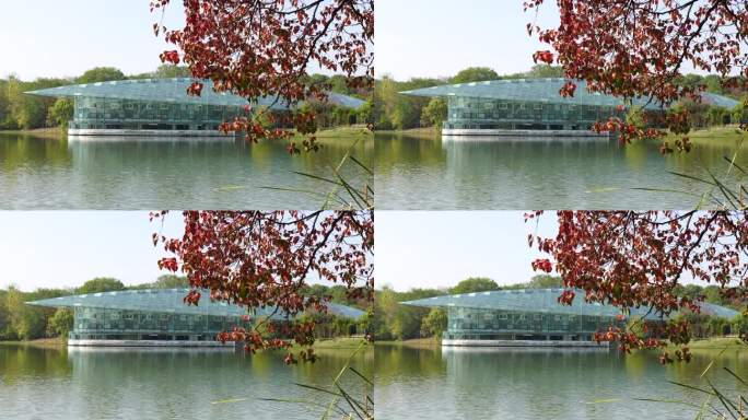 秋天南京中山植物园热带植物宫与月牙堤秋色