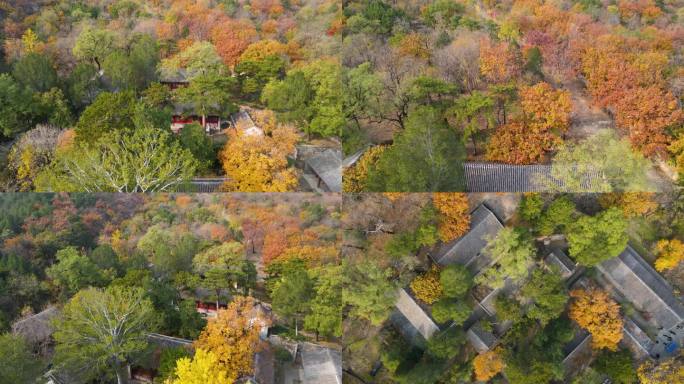 航拍北京海淀西山阳台山秋景秋色-5