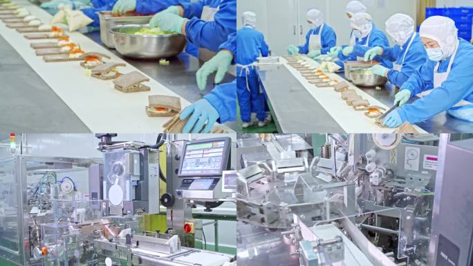 三明治生产工厂 食品生产车间 便当生产