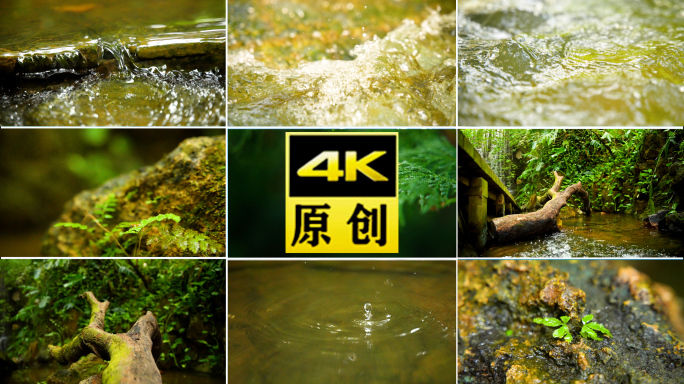 水大自然森林雨滴下雨河流