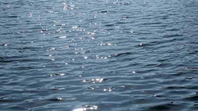 什刹海后海公园波光粼粼的湖面1080P