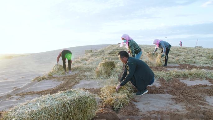 农民劳作 乡村生活 荒漠种植
