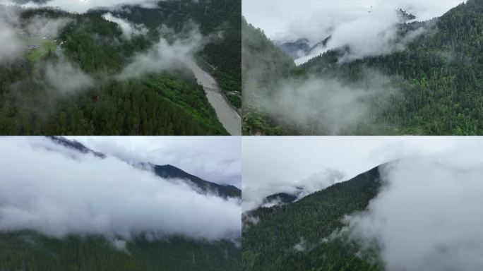 西藏原始森林云雾袅绕的山