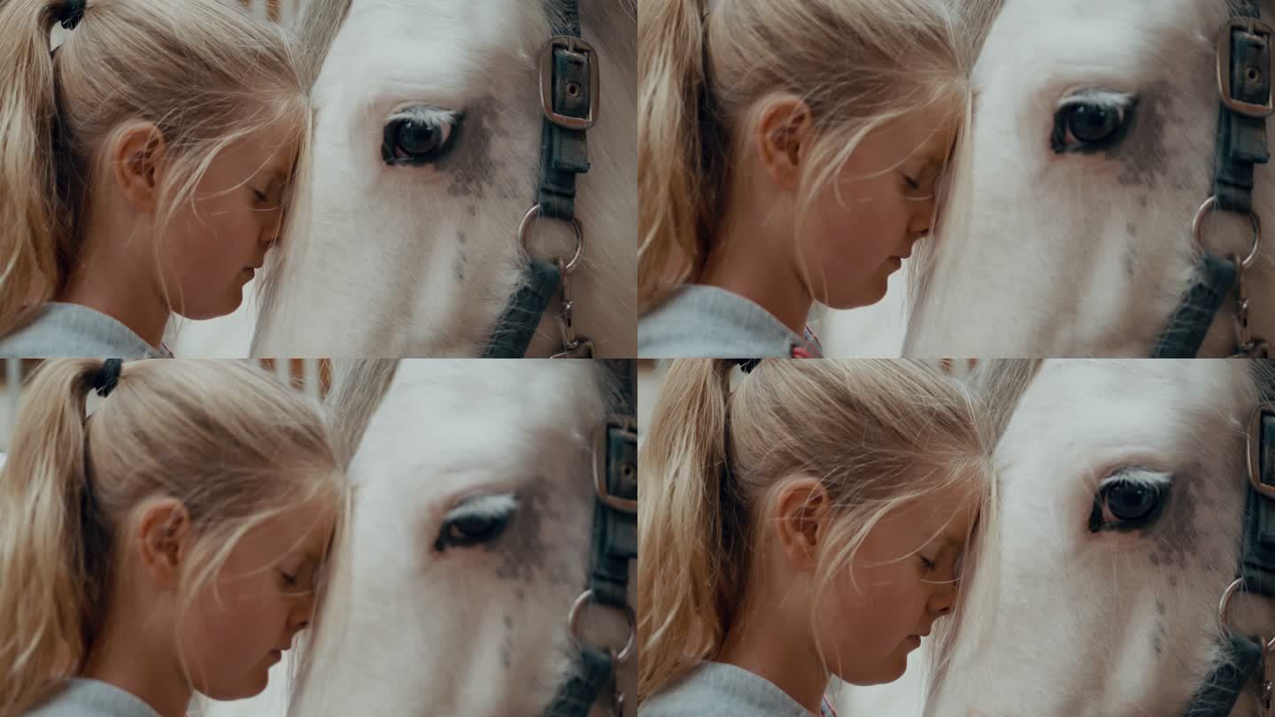 SLO MO小女孩与她的马有一个深情的时刻
