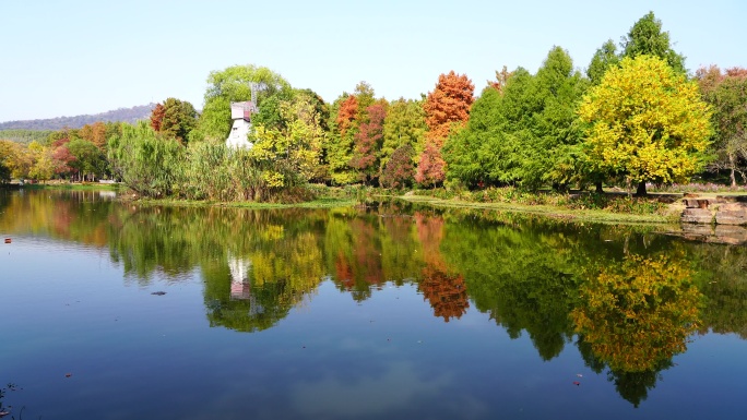 秋天南京中山植物园的前湖色彩斑斓，秋意浓