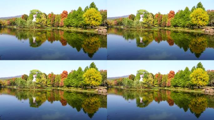 秋天南京中山植物园的前湖色彩斑斓，秋意浓