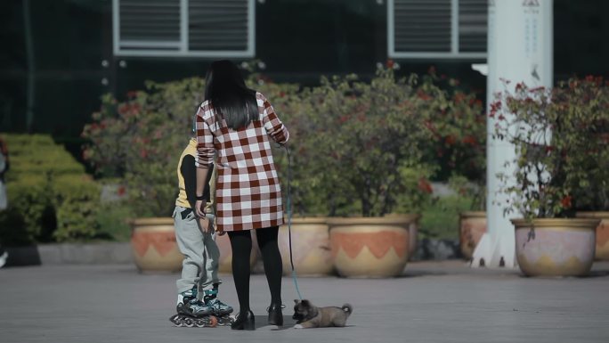 市民母子生活视频牵狗的妈妈溜冰的小孩