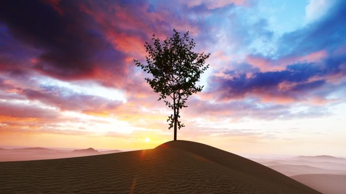沙漠环保概念树生长