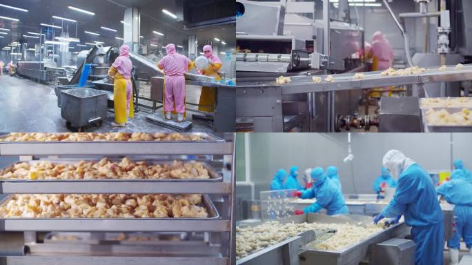食品生产线 炸鸡生产 鸡米花 鱼排 炸鸡