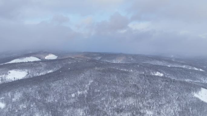 航拍大兴安岭冬季雪色山林