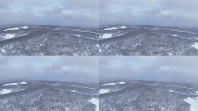 航拍大兴安岭冬季雪色山林