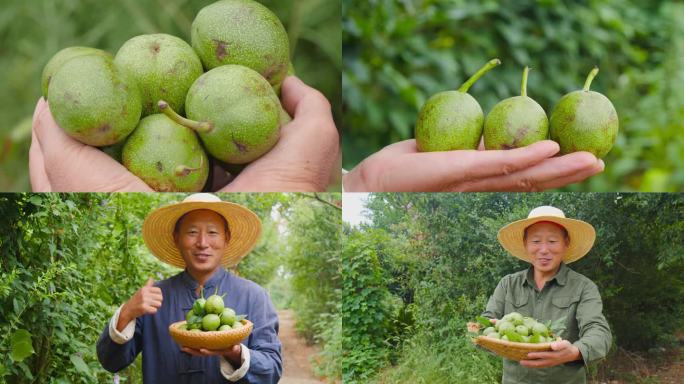 青核桃素材