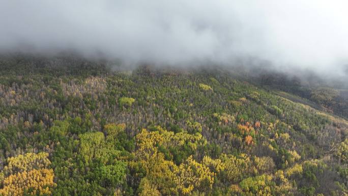 航拍秋季雨雾中的大兴安岭山林