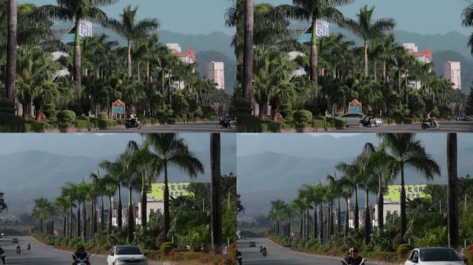 云南德宏芒市棕榈树街景