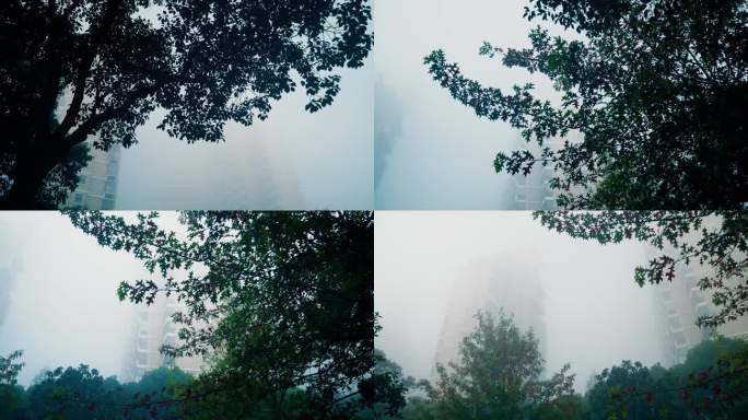 清晨大雾小区景观