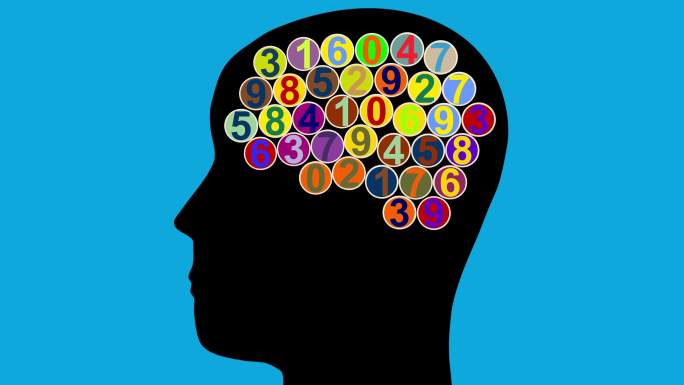 彩色计数大脑数学家人脑大脑