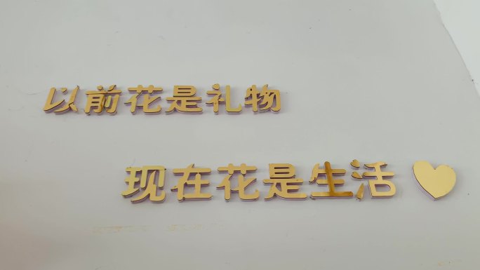 以前花是礼物现在花是生活金色字