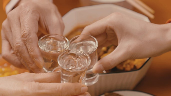 春节年夜饭节日家人聚餐团团圆圆举杯共饮