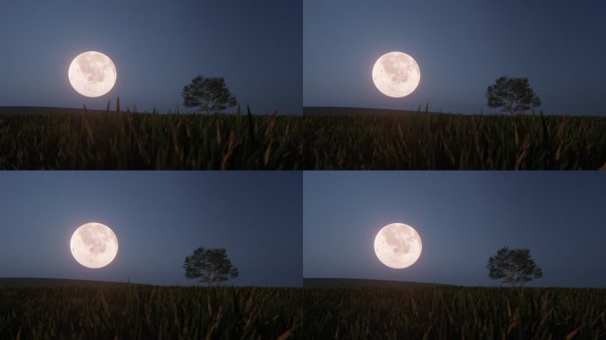 月球在田野上空月光思念夜晚月亮圆月